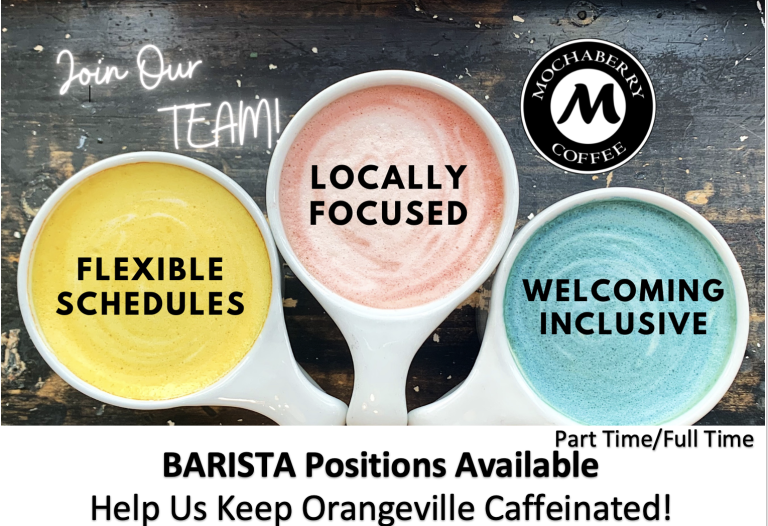Barista Positions Available 1 Barista Positions Available