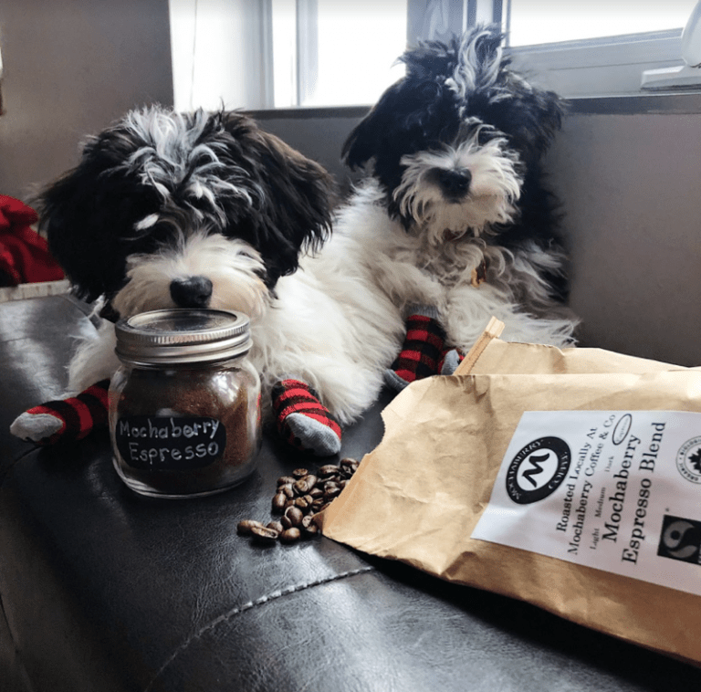 Monthly Coffee Subscription