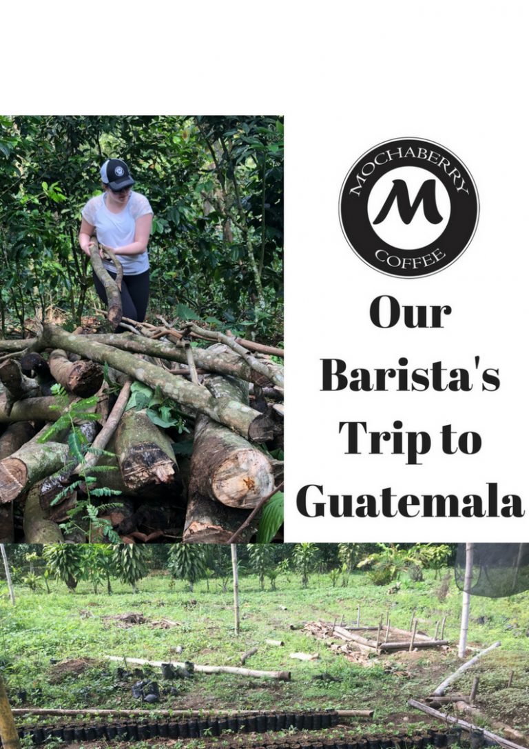 A Barista's Trip to Guatemala 3 A Barista’s Trip to Guatemala